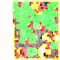 Alder Hazard Map